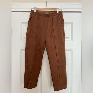 Everlane The Dream Pant Wool Lining so soft!